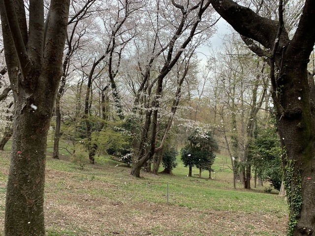 2LyiM1VvRIOsypvk7ShnYA