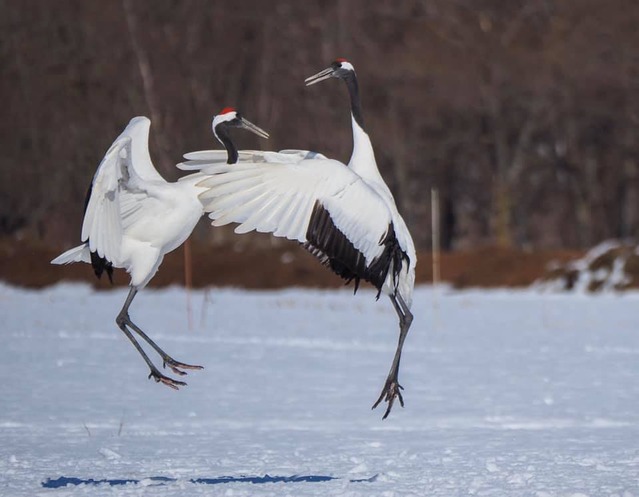 87817930_10219139637015796_8352147747746349056_n