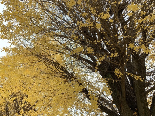 ogE+02eERxqZuVcGKy3n3A