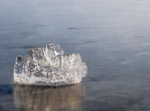 87179525_10219128108327586_9053640040327938048_n