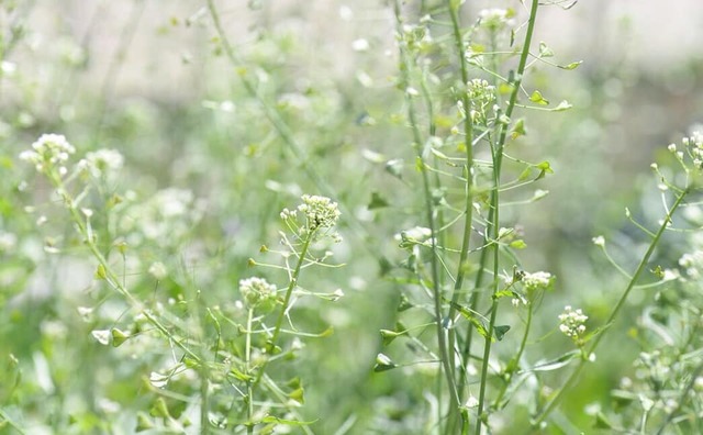 91618637_2918822374850670_6885201487408922624_n