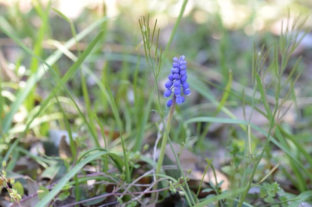 91199086_2918822218184019_431131613196189696_n