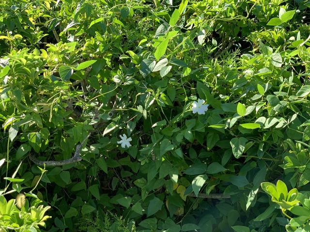 SDZJXzJ3SLGrFhU%pzCwbg