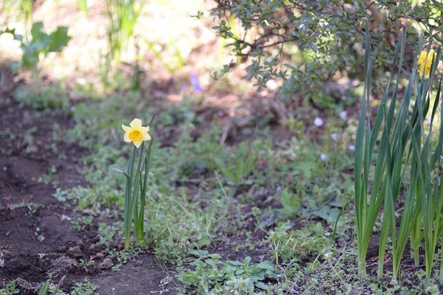 91157631_2918822474850660_8941697528848449536_n