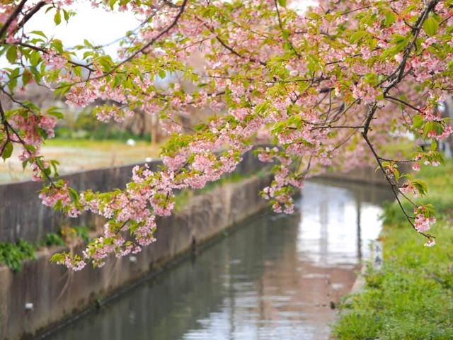 89628017_10219254218400259_5604633271297114112_n