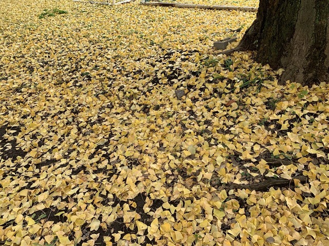 r3fNxqEiR7qNAdwWv81MWA